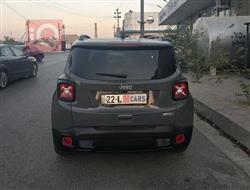 جيب رينيجيد